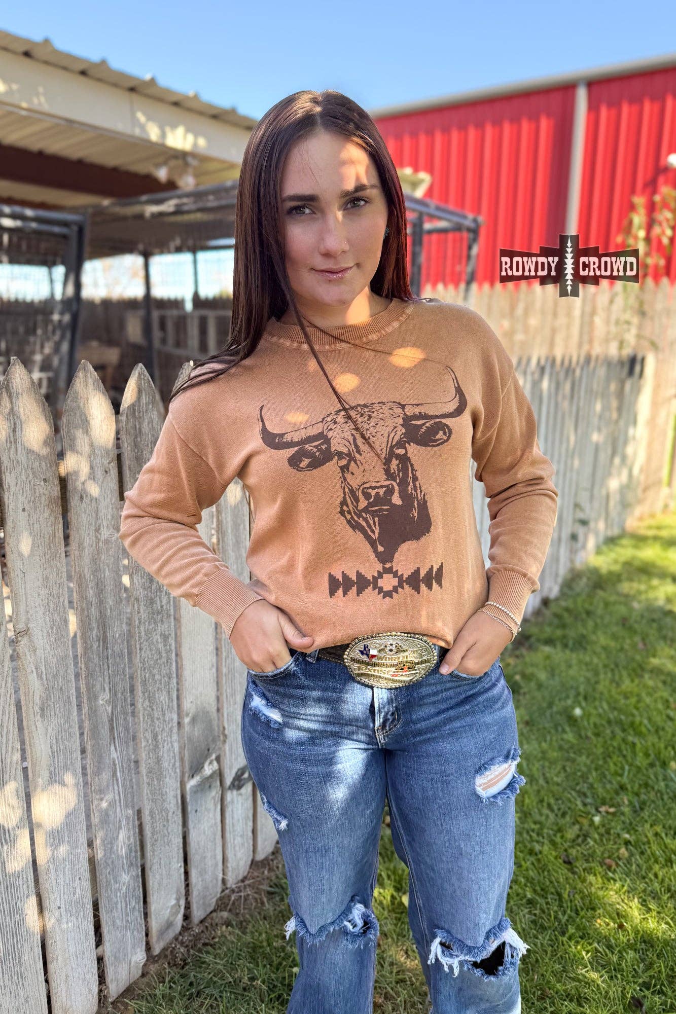 Blazin' Bull Sweater