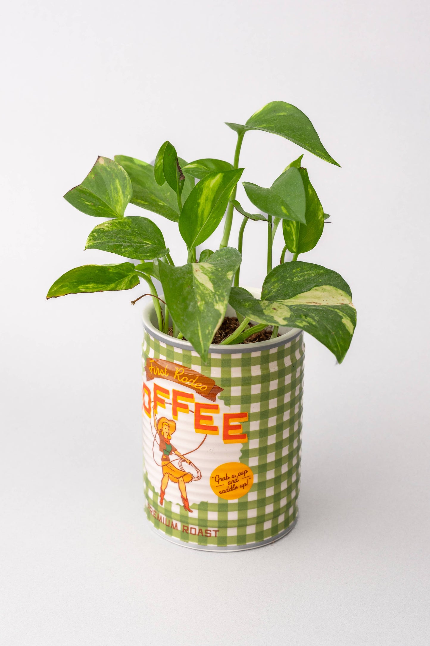 Rodeo Coffee Ceramic Planter