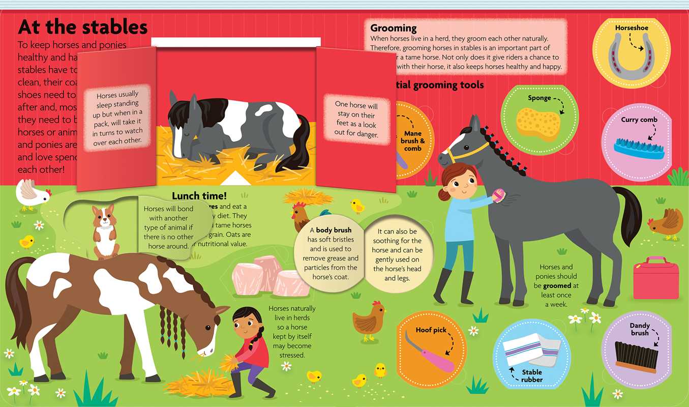 All About Horses & Ponies