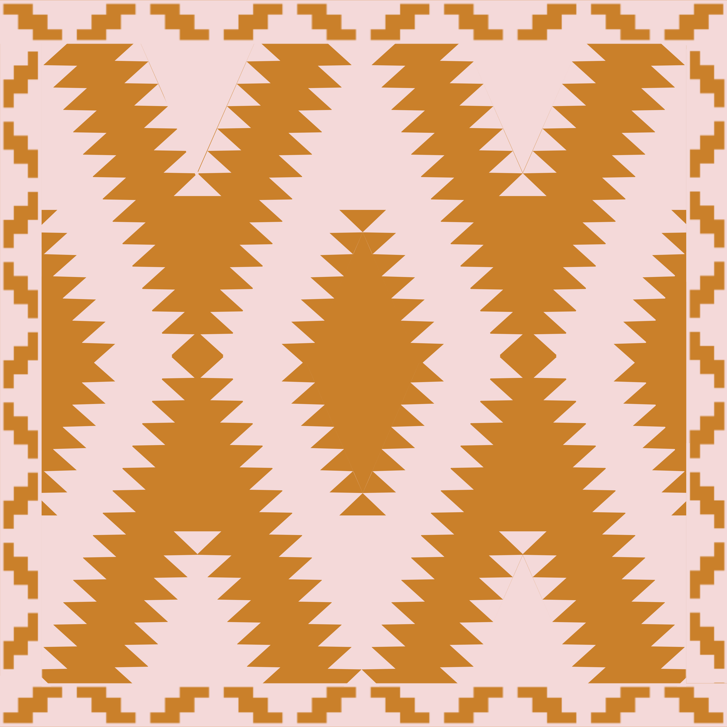 WESTERN GRANDE BABY BLANKET TERRACOTTA ✙ PINK