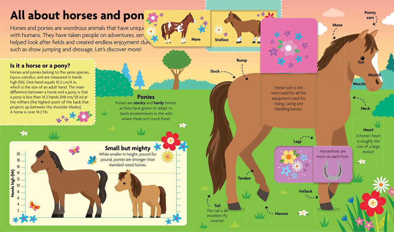 All About Horses & Ponies