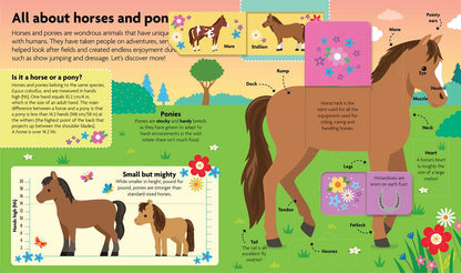 All About Horses & Ponies