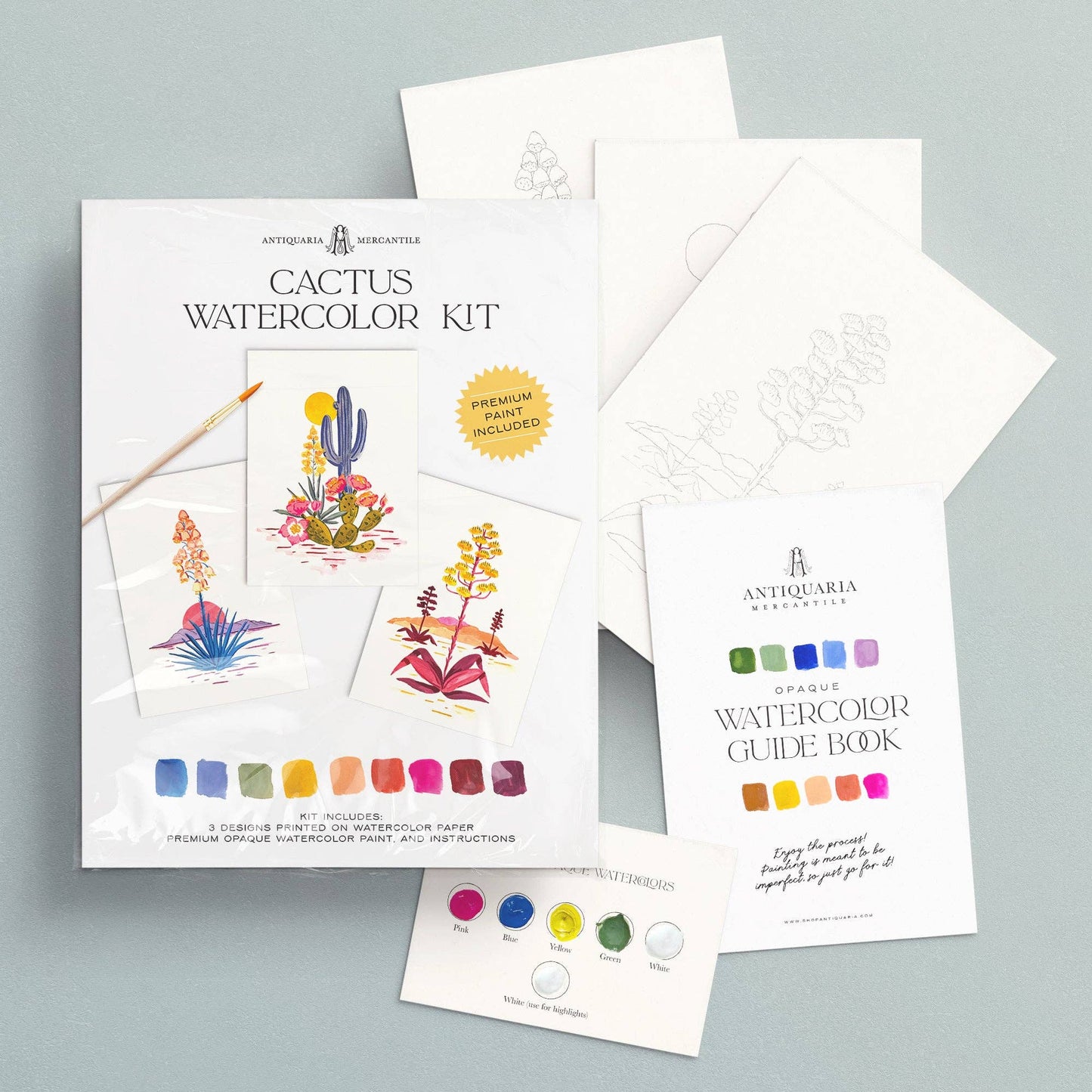 Watercolor Painting Kit: Cactus