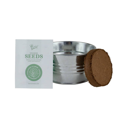Cactus Grow Kit