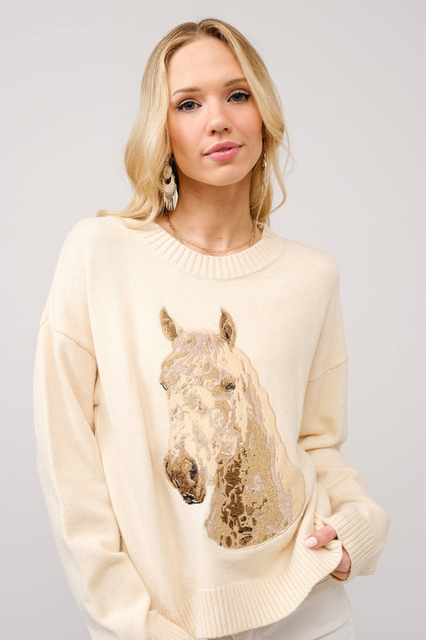 Horse Sweater