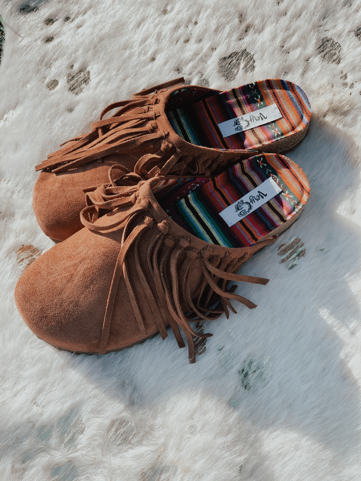Leon Fringe Slides
